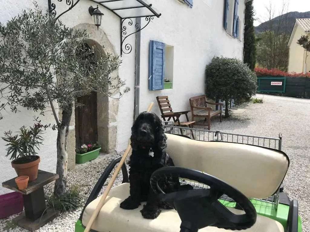 Campsite Camping 3 Etoiles - Ccbbbda Castellane